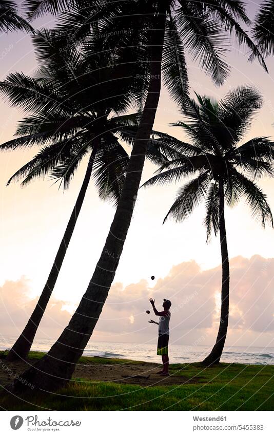 Dominican Rebublic, man juggling between palm trees at sunset juggle men males Adults grown-ups grownups adult people persons human being humans human beings