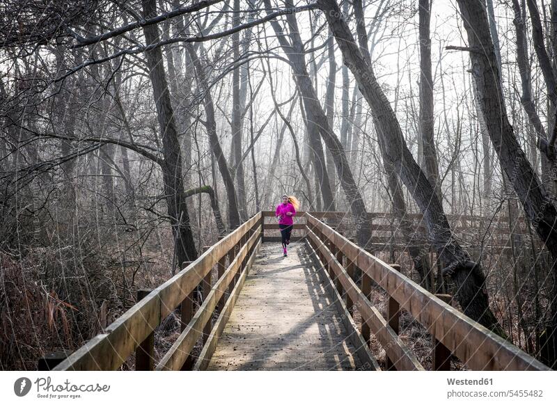 Woman running on wooden bridge through forest woman females women Jogging Adults grown-ups grownups adult people persons human being humans human beings fitness