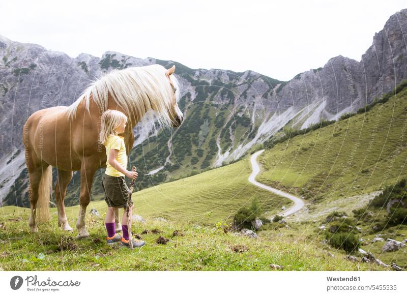 Austria, South Tyrol, young girl with horse on meadow together female hiker female wanderers equus caballus horses watching looking looking at Adventure