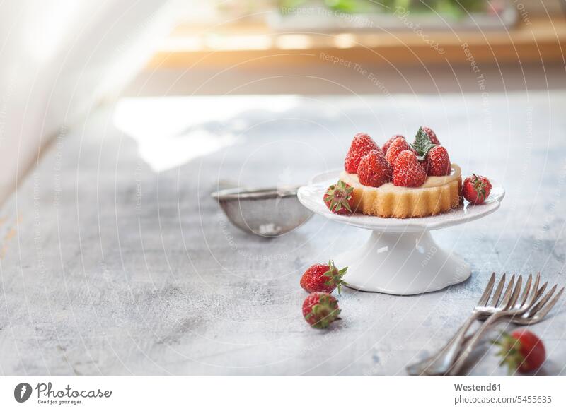 Tartlet with pudding filling and strawberries copy space sweet Sugary sweets garnished ready to eat ready-to-eat Dessert Afters Desserts stuffing Cake Stand