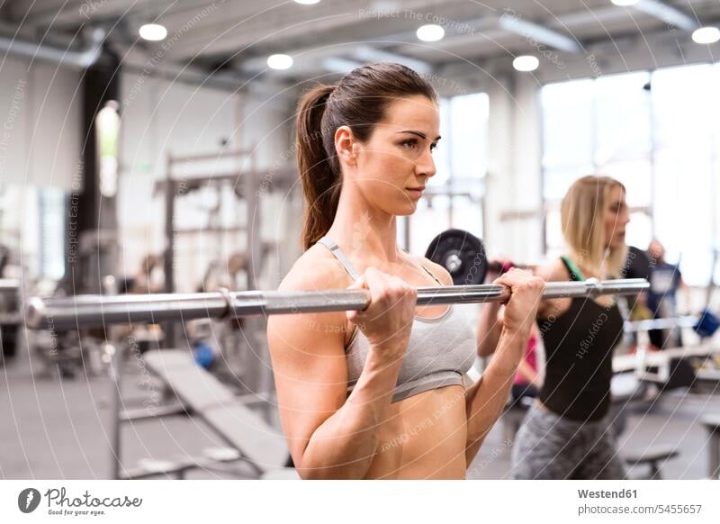 Young woman lifting weights in gym gyms Health Club young women young woman exercising exercise training practising sportive sporting sporty athletic fit