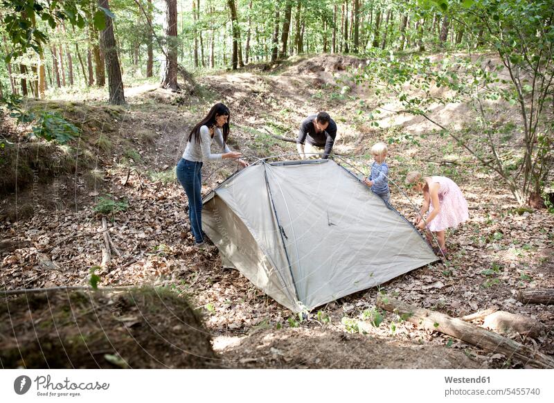 Family in forest building up tent together family families woods forests setting up build up set up tents people persons human being humans human beings