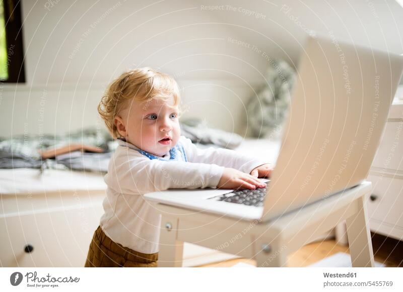 Little boy at home playing with laptop Laptop Computers laptops notebook computer computers caucasian caucasian ethnicity caucasian appearance european testing