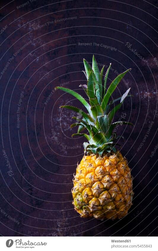 Baby pineapple on dark ground single object 1 one overhead view from above top view Overhead Overhead Shot View From Above Tropical Fruit tropical fruits