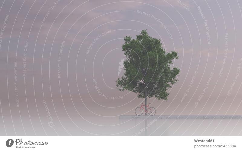 Racing cycle leaning against maple tree, 3D Rendering evening in the evening retreat break parked rural country countryside green rural scene Non Urban Scene