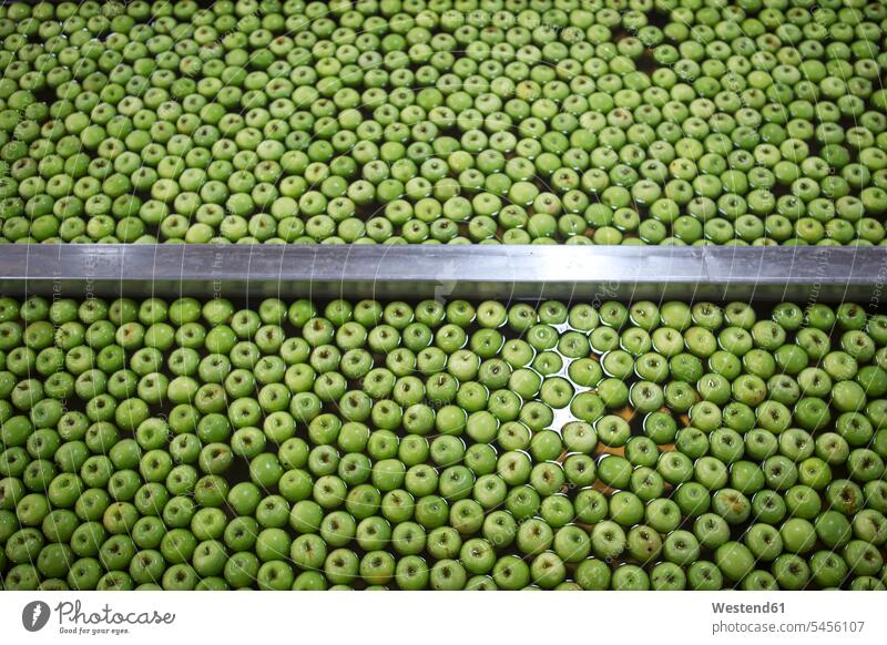 Green apples in factory being washed cleaning merchandise merchandises goods food industry food processing plant full frame elevated view High Angle View