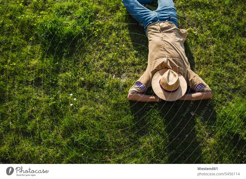 Young man sleeping on a meadow, top view meadows men males lying laying down lie lying down Adults grown-ups grownups adult people persons human being humans