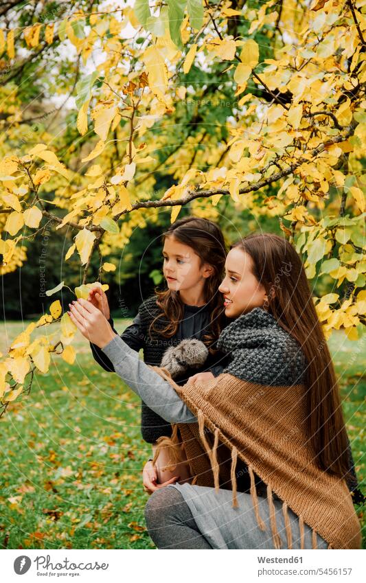 Young woman and little girl in autumn fall females girls child children kid kids people persons human being humans human beings nanny meadow meadows Au Pair