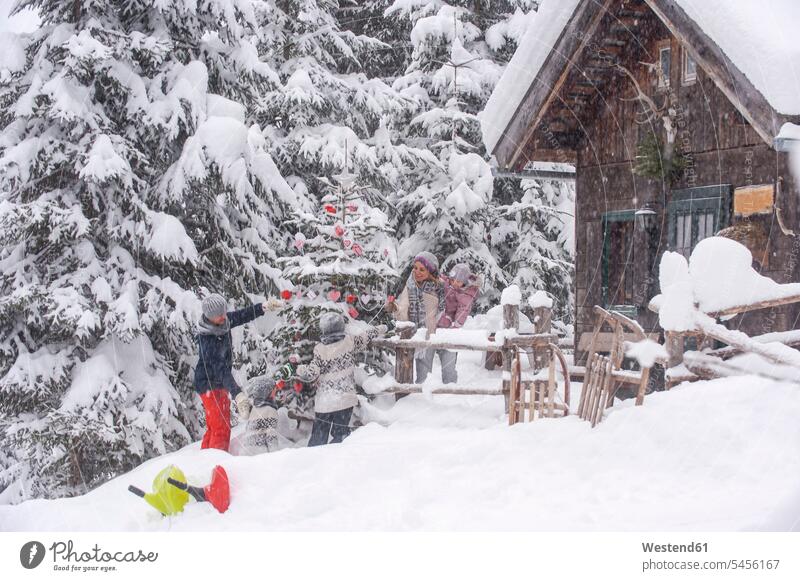 Austria, Altenmarkt-Zauchensee, family decorating Christmas tree at wooden house snow Christmas trees X-Mas yule Xmas X mas families sledge sledges winter