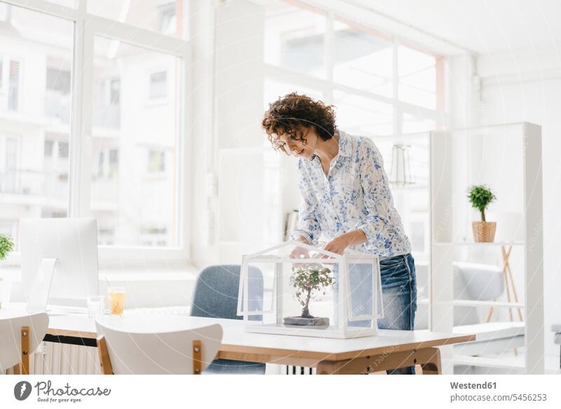 Businesswoman in office taking care of bonsai tree Bonsai Bonsai Tree Bonsai Trees offices office room office rooms businesswoman businesswomen business woman