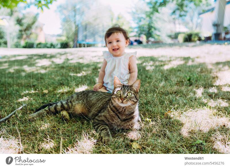 Portrait of tabby cat on a meadow with laughing baby girl sitting in the background cats pets animal creatures animals baby girls female babies infants people