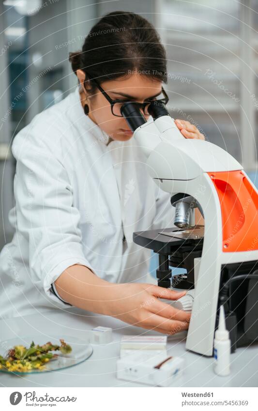 Laboratory technician using microscope in lab laboratory microscopes examining checking examine woman females women working At Work laboratory technician