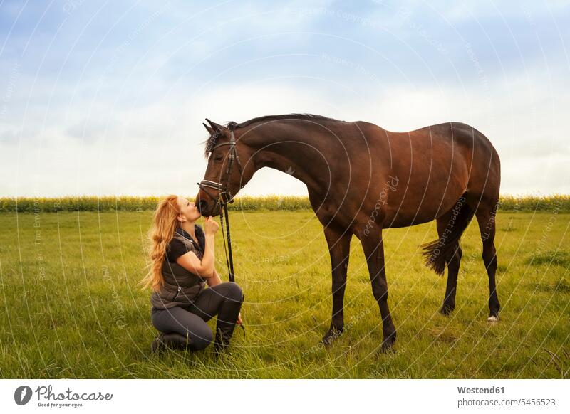 Young woman with her horse on a meadow females women equus caballus horses Adults grown-ups grownups adult people persons human being humans human beings mammal