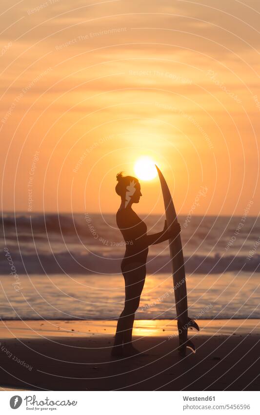 Indonesia, Bali, young woman with surfboard at sunset standing silhouette silhouettes surfer female surfer surfers female surfers leisure free time leisure time