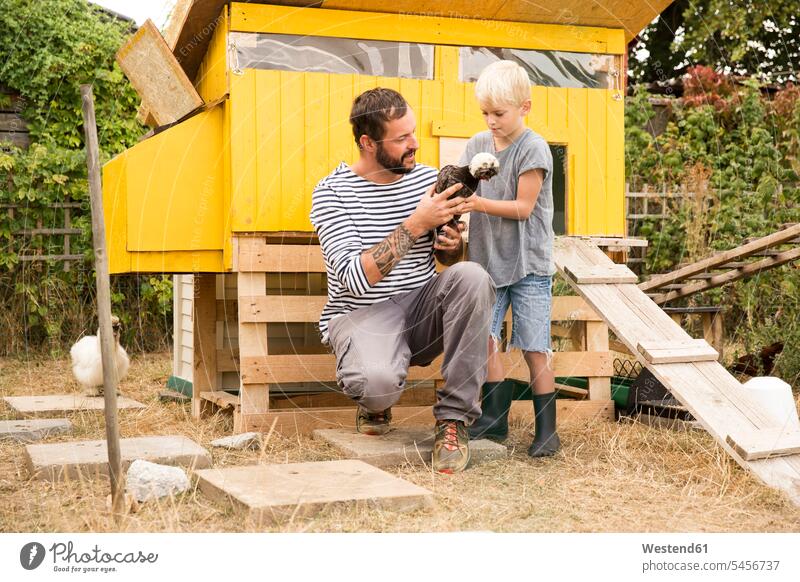 Father and son with Polish chickens at chickenhouse in garden gardens domestic garden hen house chicken house chicken-house father pa fathers daddy dads papa
