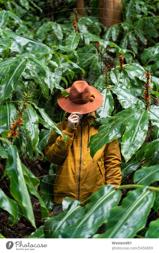 Man standing in forest surrounded by huge leaves, Sao Miguel Island, Azores, Portugal touristic tourists hats coat coats jackets hide colour colours enormous
