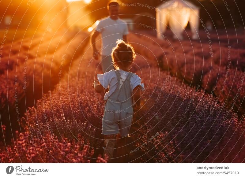Fathers day. Young dad and toddler child daughter are having fun in a lavender field in full bloom on sunset light . Family day concept. Happy childhood, lifestyle.