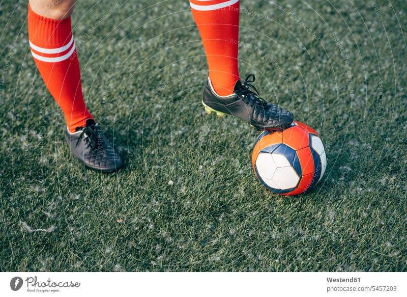Legs of a woman standing on football ground with the ball females women soccer soccer pitch football pitch leg legs human leg human legs balls Adults grown-ups