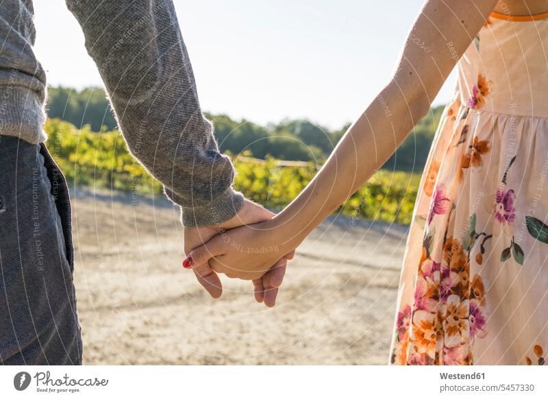 Italy, Tuscany, Siena, close-up of couple hand in hand in a vineyard human hand hands human hands twosomes partnership couples agriculture people persons