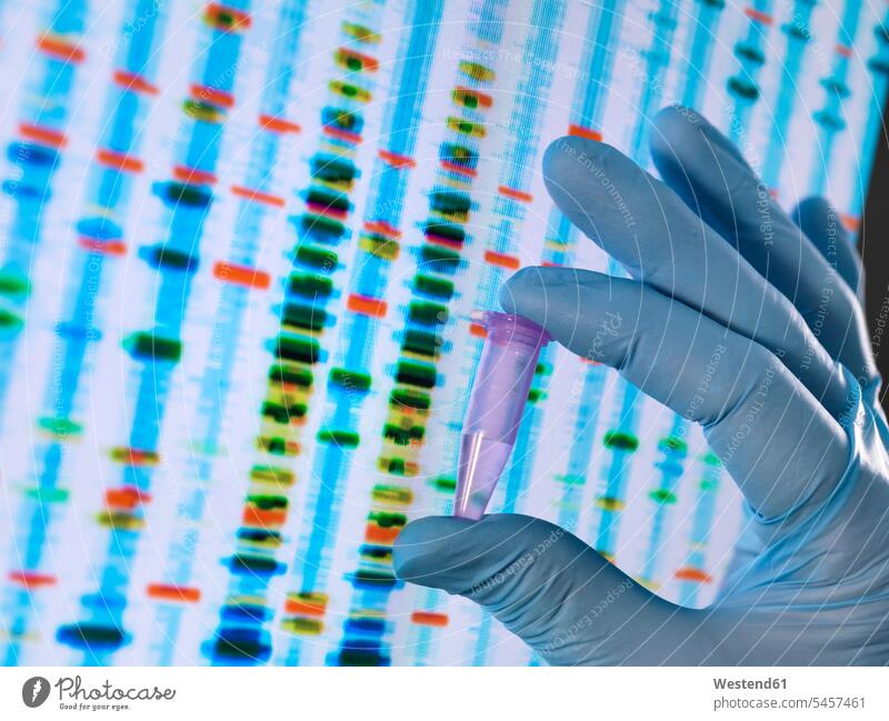 Scientist holding a DNA sample with the results on a computer sceeen in a laboratory Deoxyribonucleic Acid scientist test testing computer screen