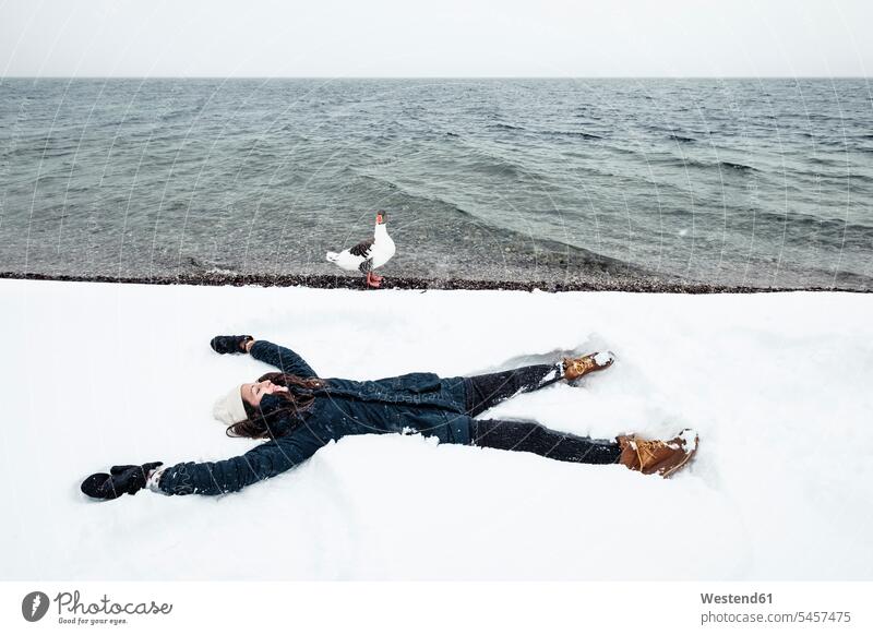Grey goose and young woman at Lake Starnberg in winter snow angel Fun having fun funny Encounter lying laying down lie lying down trusting confiding