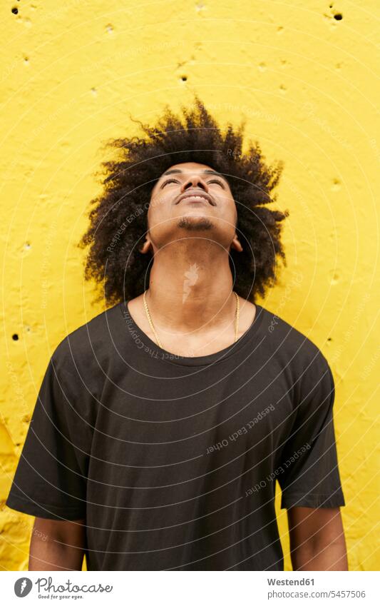 Portrait of young man with afro against yellow wall looking up human human being human beings humans person persons African black black ethnicity coloured 1