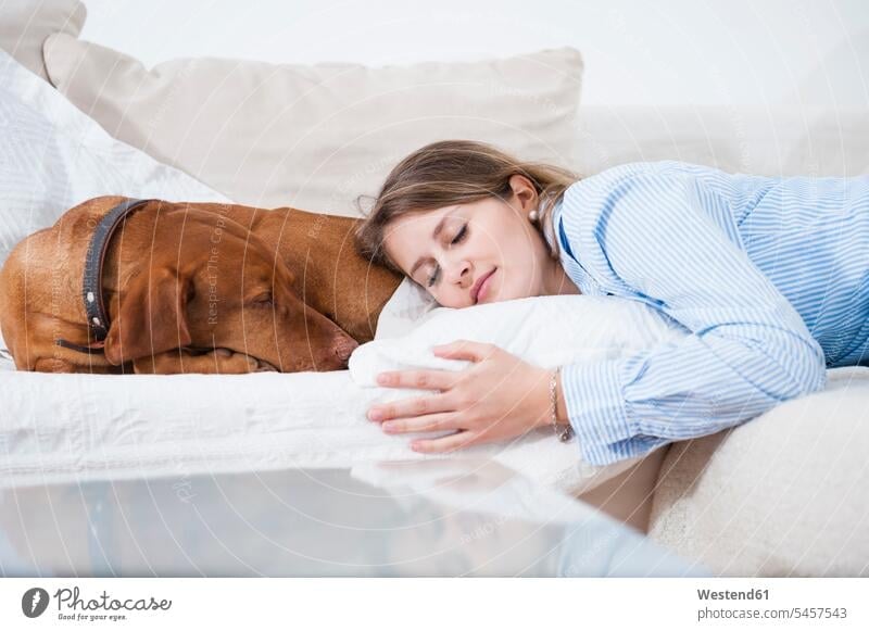 Beautiful young woman sleeping by dog on sofa in living room at home color image colour image Home Interior Home Interiors domestic space domestic life