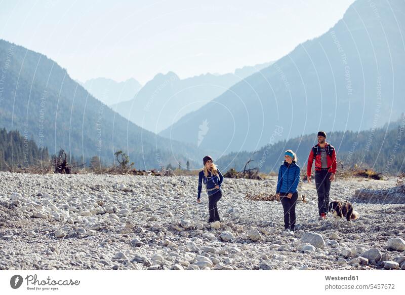 Germany, Bavaria, Karwendel, group of friends hiking with dog in dried riverbed hike mate river bed dogs Canine friendship pets animal creatures animals