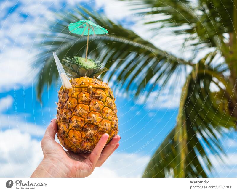 Woman's hand holding fresh pineapple with a straw Pineapple Ananas comosus Ananas sativus Pineapples Refreshment refreshing straws drinking straw