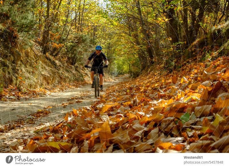 Italy, Liguria, Finale Ligure, Mountainbiker at ravine in autumn Ravine mountain bike mountain biker Mountain Bikers man men males leisure free time