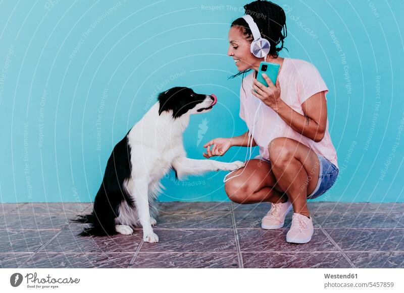 Smiling woman listening music through headphones while doing handshake with Border Collie dog against turquoise wall color image colour image Spain outdoors