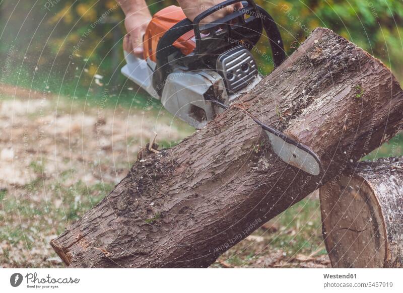 Man jointing a tree trunk with a motor saw human human being human beings humans person persons caucasian appearance caucasian ethnicity european 1