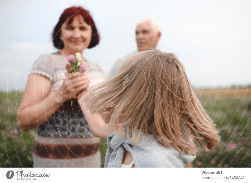 Blond little girl giving flowers to her grandmother on a meadow human human being human beings humans person persons caucasian appearance caucasian ethnicity