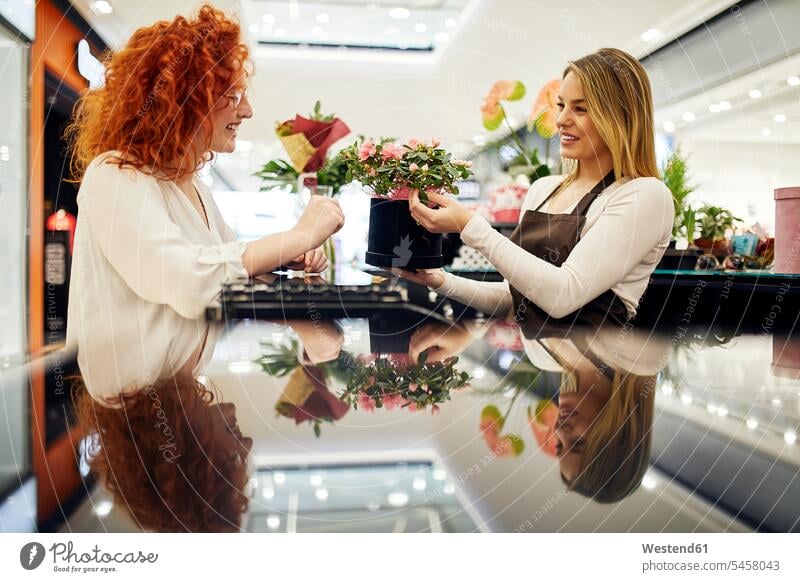 Happy customer and shop assistant with potted plant at counter in flower shop clientele clients customers counters shop assistants potted plants pot  plants