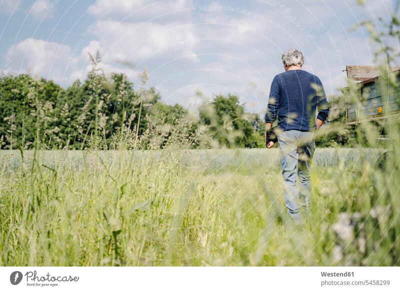 Man with laptop walking on grass in agricultural field color image colour image outdoors location shots outdoor shot outdoor shots day daylight shot