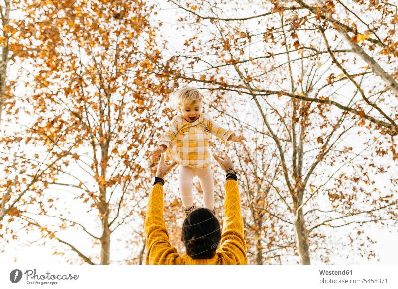 Father throwing his daughter in air, in a park in autumn Trust Confidence Faith parks autumnal autumnally father fathers daddy dads papa daughters Joy enjoyment
