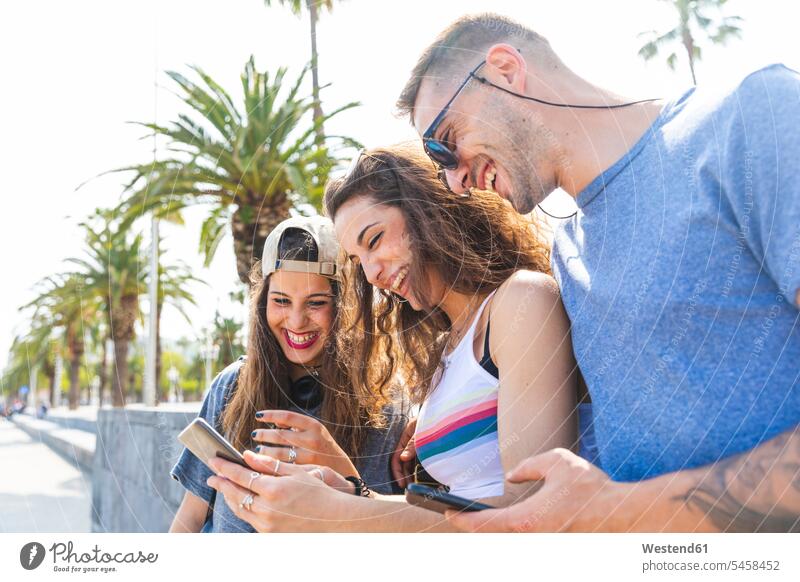 Happy friends sharing cell phone on a promenade with palms share happiness happy promenades mobile phone mobiles mobile phones Cellphone cell phones Palm