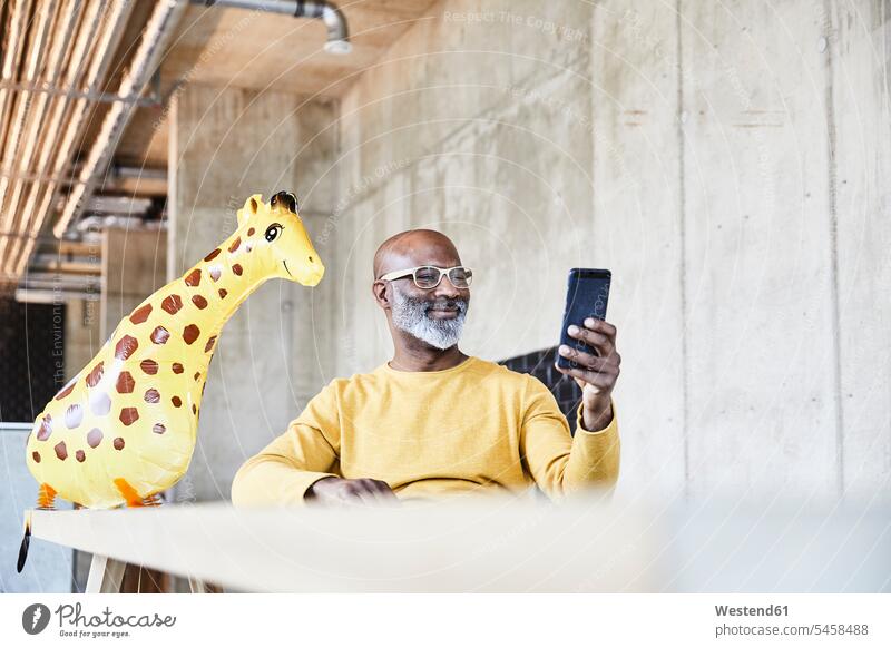 Smiling mature businessman sitting at desk in office with cell phone and giraffe figurine figurines Seated smiling smile mobile phone mobiles mobile phones