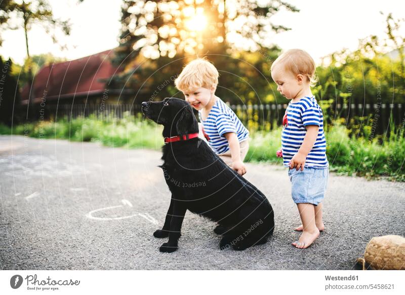 Toddler and his little sister playing with dog outdoors toddlers infants toddler age sisters dogs Canine children kid kids people persons human being humans