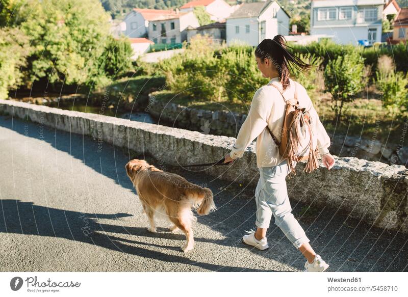 Woman walking with her golden retriever dog on a road woman females women streets roads going dogs Canine Adults grown-ups grownups adult people persons