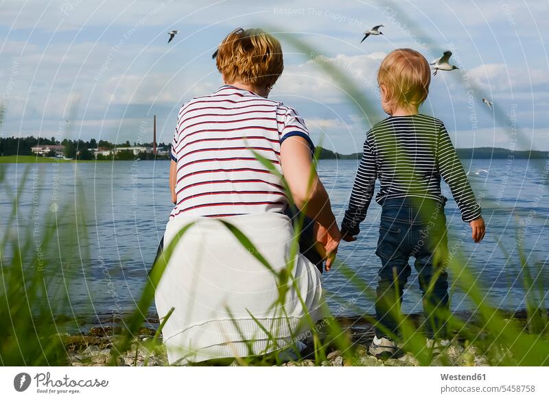 Finland, Kuopio, back view of mother and little daughter watching seagulls at lakeshore laridae Lakeshore Lake Shore lakeside looking looking at daughters mommy