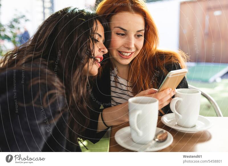 Two women lookig at mobile phone at pavement cafe outdoor cafes nose piercing nose piercings woman females Smartphone iPhone Smartphones looking eyeing Adults