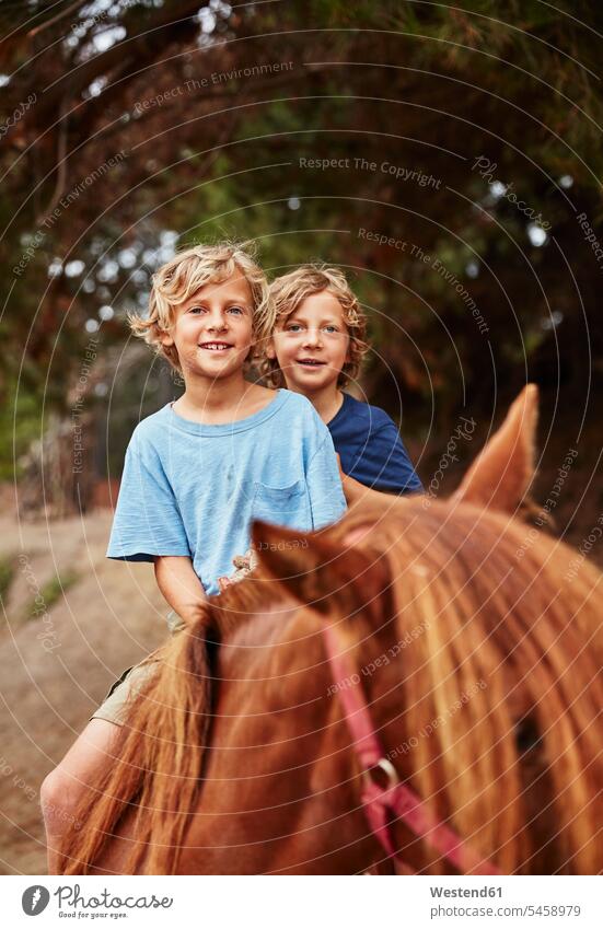 Portrait of two happy boys on horse in a forest equus caballus horses riding horse riding ride woods forests portrait portraits brother brothers males animal