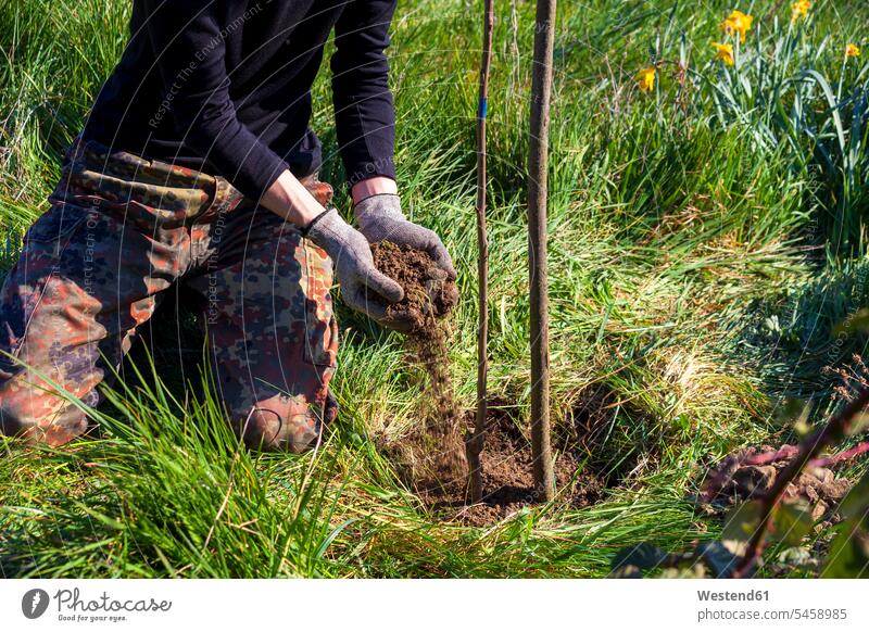 Low section of woman planting cherry tree in organic garden color image colour image outdoors location shots outdoor shot outdoor shots day daylight shot