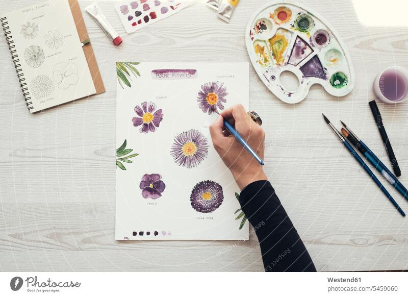 Woman painting flowers with water colors, top view brushes jewelry rings pencil pencils pens colour colours free time leisure time Ideas creative Flowers Bloom