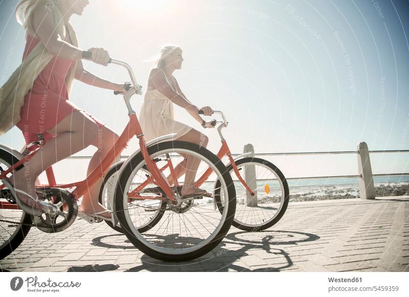 Young female friends cycling on promenade at beach during sunny day color image colour image outdoors location shots outdoor shot outdoor shots daylight shot