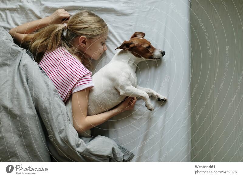 Blond girl lying on bed with her dog sleeping, top view dogs Canine beds females girls asleep blond blond hair blonde hair laying down lie lying down pets