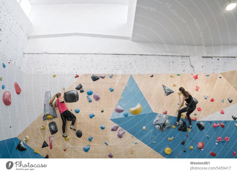 Two women climbing on the wall in climbing gym (value=0) human human being human beings humans person persons caucasian appearance caucasian ethnicity european