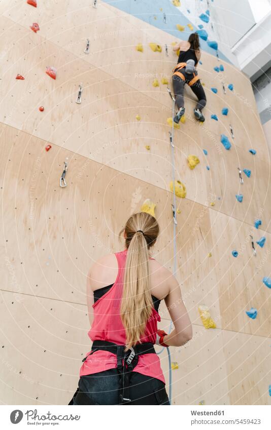 Woman with a rope securing partner on the wall in climbing gym (value=0) human human being human beings humans person persons caucasian appearance