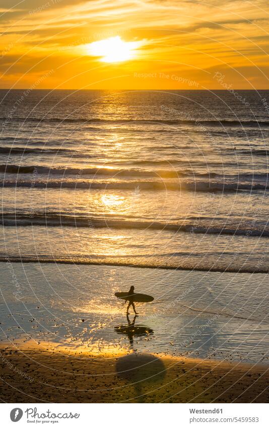 USA, California, Del Mar, female surfer at the beach at sunset carrying walking going surfers female surfers beaches silhouette silhouettes sunsets sundown